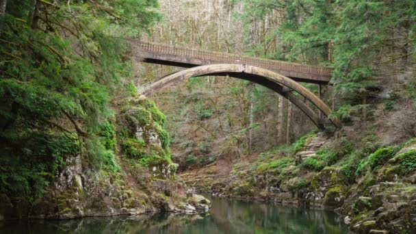 Captura Enfocada Del Puente Arco Que Cruza Río Lewis Moulton — Vídeos de Stock