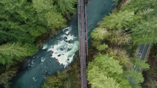 Lento Sorvolo Sopra Binari Ferroviari Attraversa Fiume Attraverso Gli Alberi — Video Stock