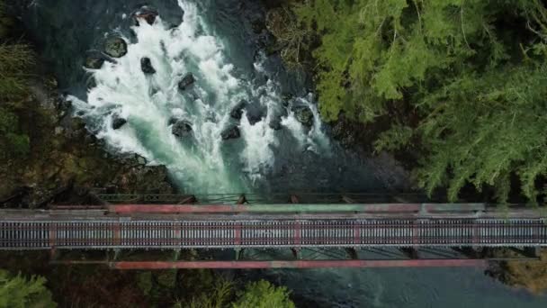 Azul Verde Lewis River Pasa Través Tiro Estático Diagonal Tiro — Vídeos de Stock