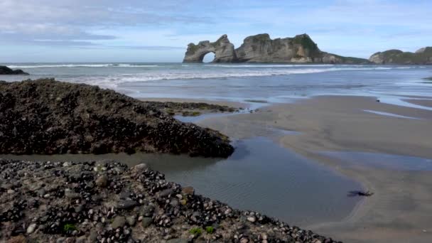 Wharariki Beach Nya Zeeland Med Musslor Förgrundsstenar Och Stackar Havet — Stockvideo