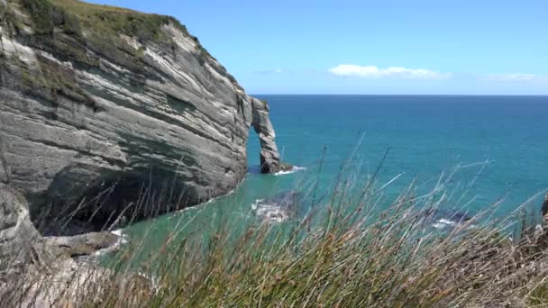 Kaap Afscheid Kliffen Rotsformaties Buurt Van Afscheid Spugen Nieuw Zeeland — Stockvideo