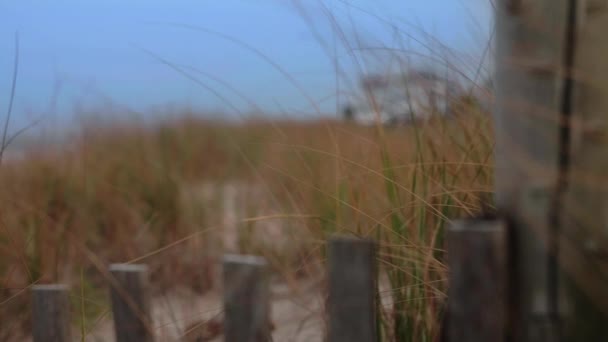 Clôture Sur Plage Avec Herbe Poussant Dans Les Dunes Sable — Video