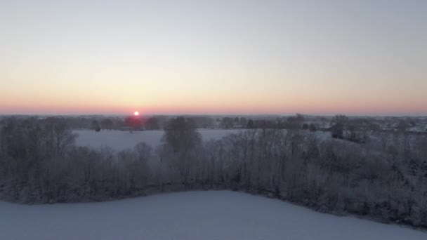 Dolly Forward Een Sneeuwveld Bomen Naar Zonsopgang Aan Horizon — Stockvideo