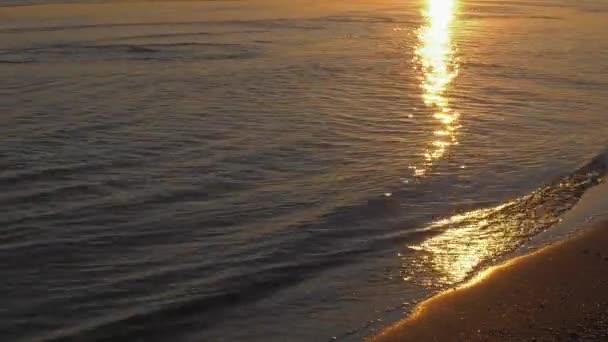 Spokojne Płytkie Fale Piaszczystym Brzegu Odzwierciedlające Wschód Słońca Śródziemnomorski Nadmorski — Wideo stockowe