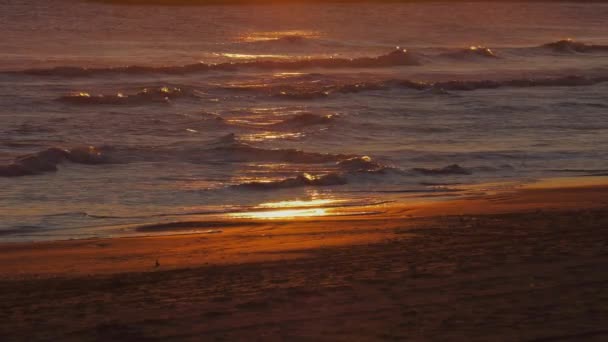 Ocean Waves Praia Areia Nascer Sol Refletindo Água Câmera Lenta — Vídeo de Stock