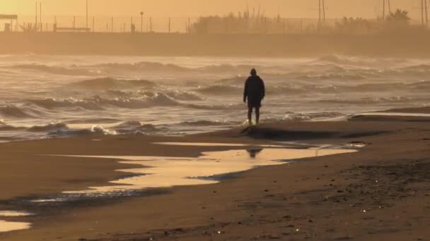 Yaşlı Adam Dalgalar Halinde Yürüyor Şafak Vakti Kumlu Sahilde Siluet — Stok video