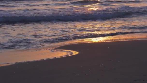 Sonnenaufgang Strand Ozeanwellen Die Morgengrauen Auf Das Sandige Ufer Rollen — Stockvideo