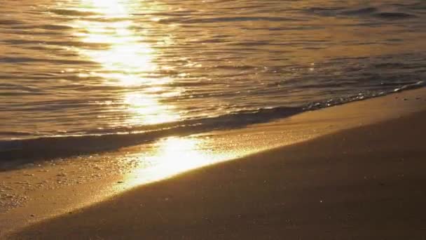 Havsvågor Gyllene Sandstrand Vid Soluppgången Spaniens Medelhavskust — Stockvideo