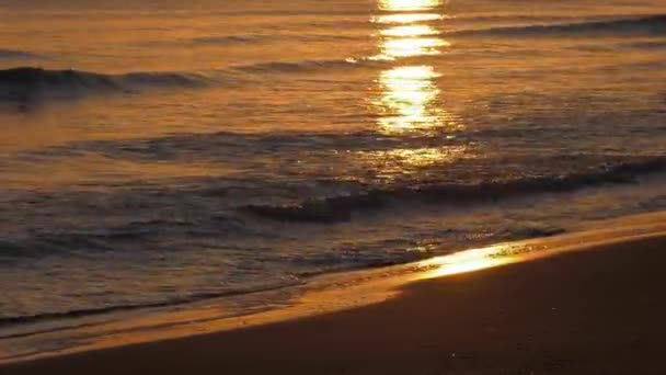 Złote Fale Odbijające Wschód Słońca Łagodnie Opadające Piaszczystą Plażę Tropikalny — Wideo stockowe