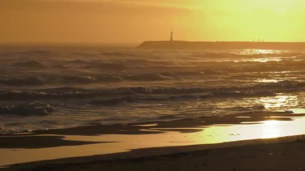 Rough Seas Sunrise Waves Rolling Sandy Beach Harbor Wall Background — Stock Video