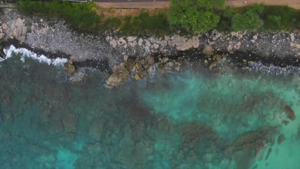 夏威夷一个岩石海岸海滩的无人机拍摄 美丽的海 夏威夷瓦胡岛美丽的性海滩祈祷海岸线 — 图库视频影像