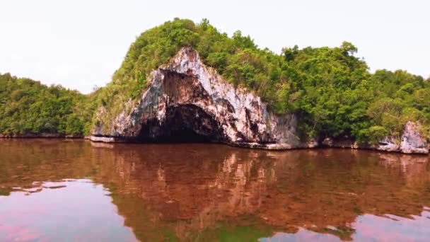 Blick Auf Den Mund Der Teufelshöhle Haitises Samana Dominikanische Republik — Stockvideo