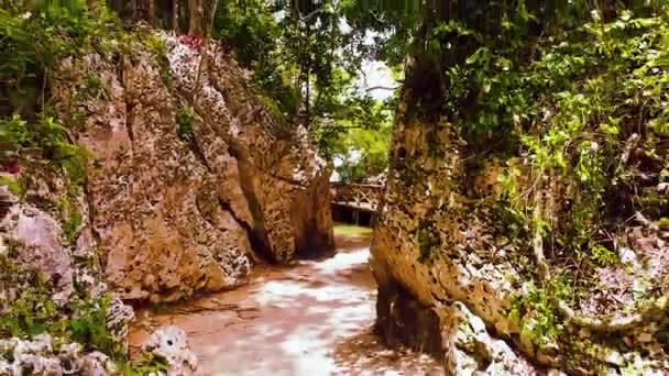ドミニカ共和国のハイテスビーチリゾートを通るウォーキングポイント — ストック動画