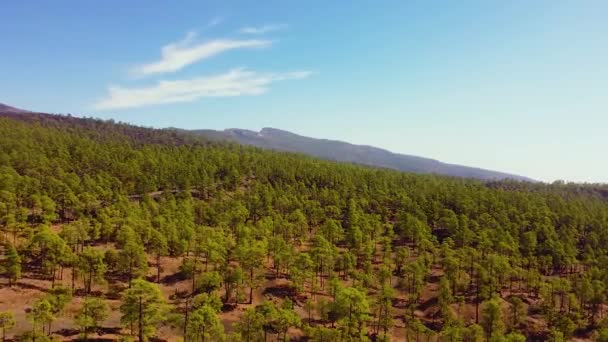 Erdészeti Táj Tenerife Sziget Masszív Vulkán Teide Horizonton Légi Pan — Stock videók