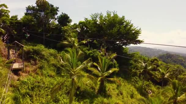 Static Aerial Wide Shot Man Ziplining Upside Tropical Environment Samana — Stok Video