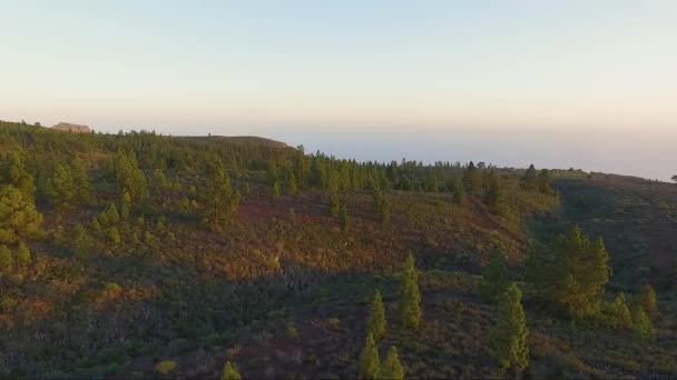 Lila Violette Rosa Und Blaue Steigungslandschaft Kiefernwald Auf Teneriffa — Stockvideo