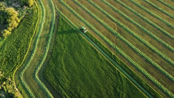 Съемка Воздушного Беспилотника Которой Фермер Объединяет Урожай Своем Поле Закате — стоковое видео