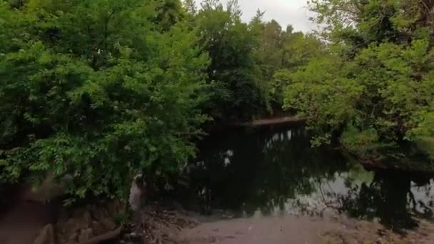 Canard Atterrissant Dans Étang Venteux Entouré Arbres Verts Journée Des — Video