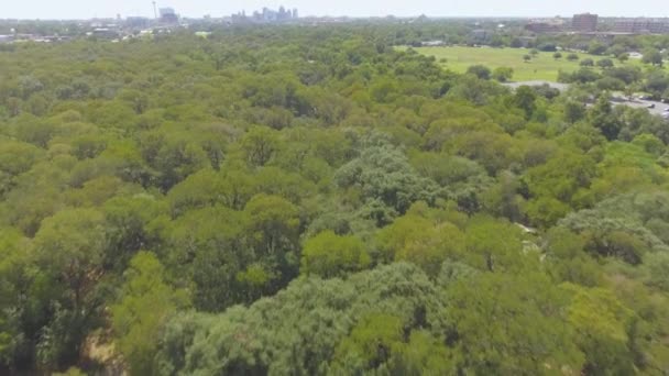 Güneşli Bir Öğleden Sonra Şehir Parkında Arka Planda San Antonio — Stok video