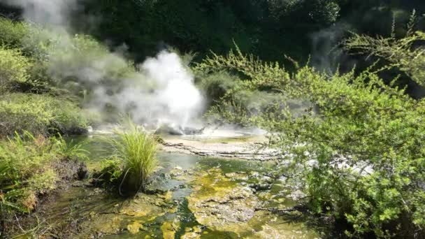 Uma Fonte Gêiser Vale Vulcânico Waimangu Rotorua Nova Zelândia — Vídeo de Stock