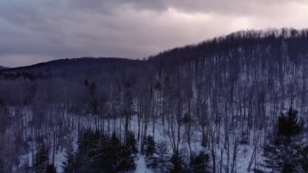 Árboles Estériles Las Montañas Nevadas Vermont Durante Colorido Atardecer Drone — Vídeos de Stock