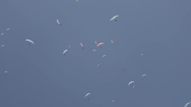 Paragliders Parachutespringen Een Cirkel Bij Een Wedstrijd Wereld Paragliding Cup — Stockvideo