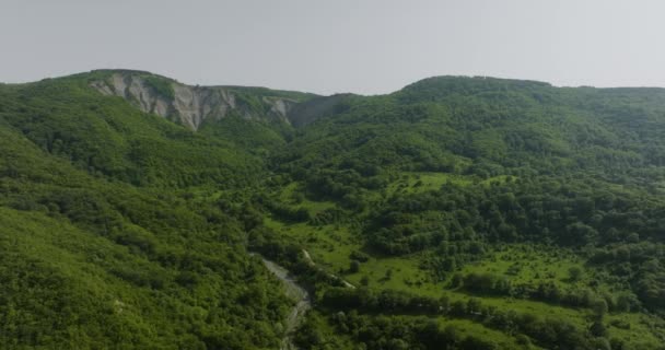 Ambiente Intacto Del Bosque Salvaje Euroasiático Colinas Arroyo Natural — Vídeo de stock