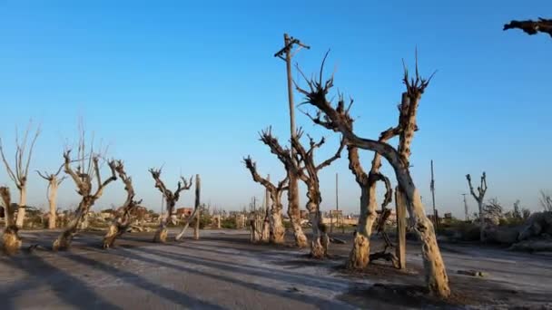 Niegościnne Środowisko Historycznej Powodzi Villa Epecuen Argentyna Dron — Wideo stockowe