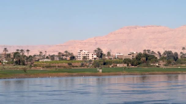 Widok Nilu Palmy Piaszczyste Góry Budynek Luksorze Egipt — Wideo stockowe