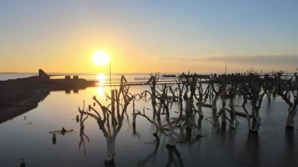 Sunset Aerial Epecuen Argentina Undergone Heavy Flooding — Stock Video