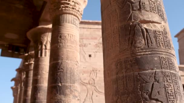 Détail Des Colonnes Entrée Par Une Journée Ensoleillée Dans Temple — Video