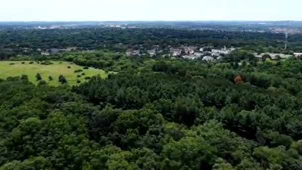 Aerial Hyperlapse Green Grasslands Forest Small Town — Stock video