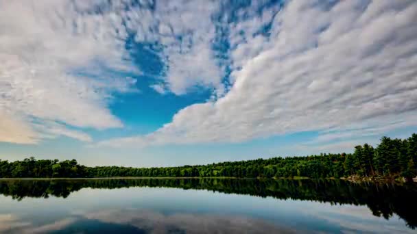 Nocny Timelapse Podczas Jasnej Pełni Księżyca Unikalnymi Chmurami Odbiciami — Wideo stockowe