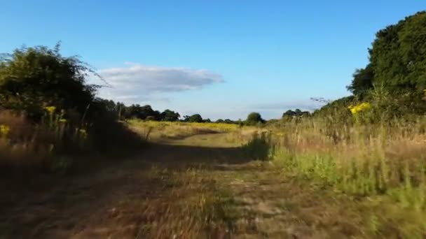 Drone Vliegt Laag Snel Grasvelden Heide Het Engelse Platteland — Stockvideo