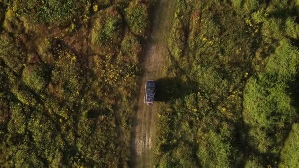 航空鳥の目のビュー農村部の未舗装のパス上の道路の車の運転4 — ストック動画