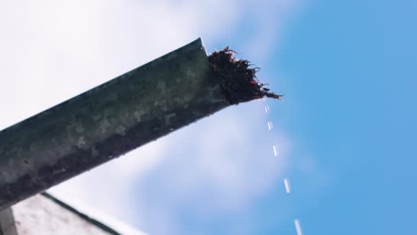 スカンジナビアの亜鉛メッキされたガターから落下するゆっくりとした動きの雨 微小軌道を移動することにより平行効果を有する専門的に細工されたクリップ — ストック動画