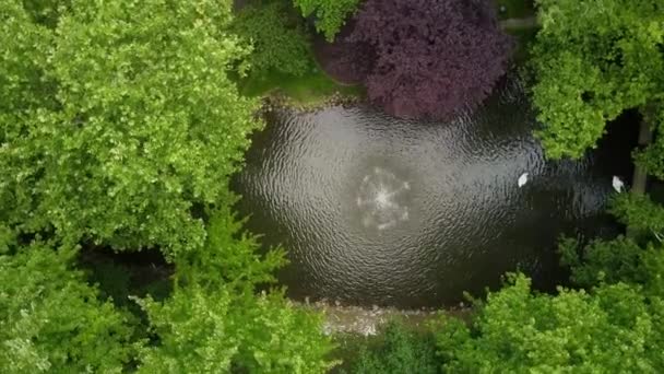 Atas Bawah Rendah Berputar Udara Atas Indah Pribadi Taman Dengan — Stok Video