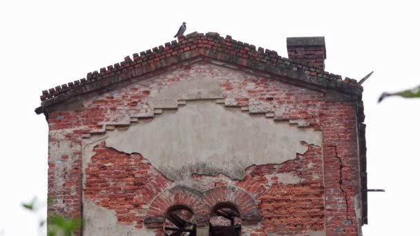 Απομεινάρια Του Κτιρίου Του Κλιβάνου Στη Μπότσα Της Ρουμανίας — Αρχείο Βίντεο