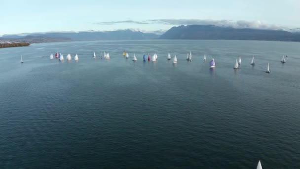 Широкий Выбор Яхт Плывущих Женевскому Озеру Фоне Швейцарских Альп — стоковое видео