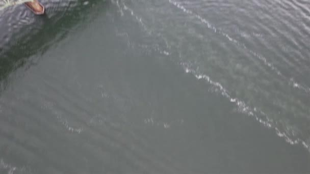 纽约长岛火岛入口大桥的航拍 在阴天里 当船只和汽车驶过时 无人驾驶相机笔直地倾斜着 向上倾斜着 滑溜溜地冲了进去 — 图库视频影像