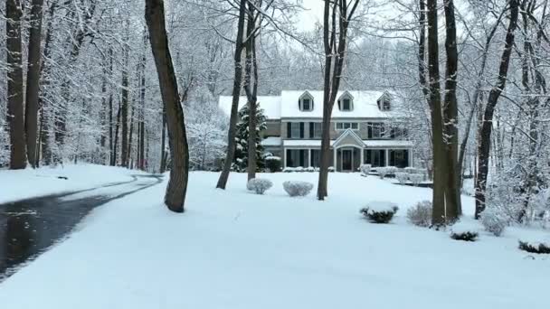 Απομονωμένη Ιδιωτική Κατοικία Στο Δάσος Κατά Διάρκεια Της Χειμερινής Χιονοθύελλας — Αρχείο Βίντεο
