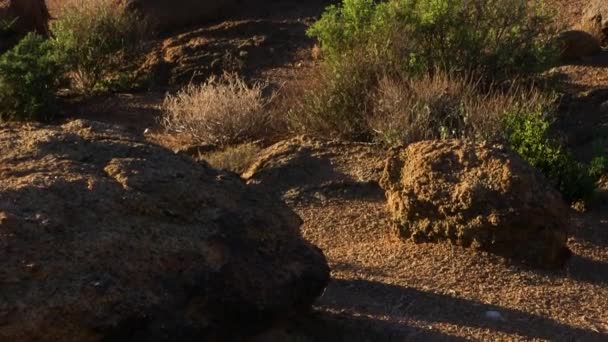 Trockenland Richtersveld Nationalpark Südafrika — Stockvideo