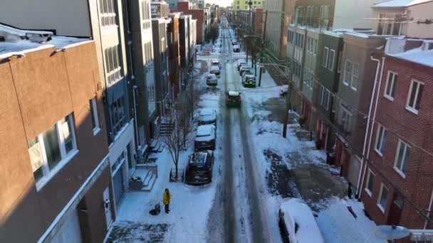 Femme Promenades Chien Pour Pause Salle Bains Pendant Tempête Neige — Video