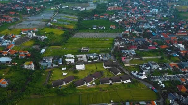 Zdjęcia Dronów Filmowych Plaży Berawa Canggu Bali Pięknym Krajobrazem Drogimi — Wideo stockowe