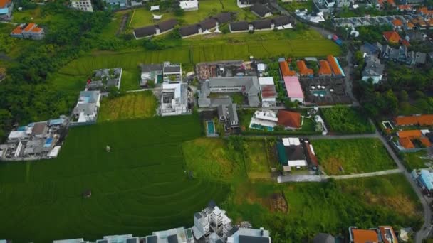 Filmiska Drönarbilder Berawa Stranden Canggu Bali Med Vackert Landskap Dyra — Stockvideo