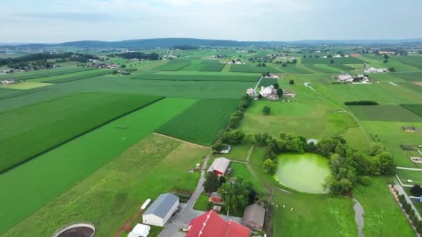 Eine Luftaufnahme Der Üppig Grünen Ländlichen Landschaft Südlichen Lancaster County — Stockvideo