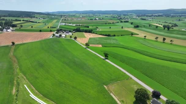 Панорама Зелених Сільських Місцевостей Ферм Південного Округу Ланкастер Штат Пенсільванія — стокове відео