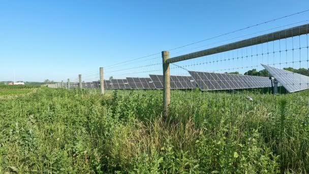 Pohled Solární Panelové Pole Obklopené Plotem Venkovské Oblasti Poli Plnými — Stock video