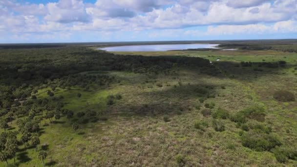 Luchtfoto Van Lower Myakka Lake Het Myakka River State Park — Stockvideo