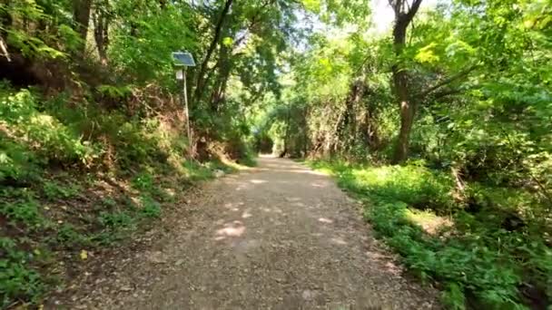 Uma Caminhada Lenta Por Caminho Arborizado Parque Perto Troyan Bulgária — Vídeo de Stock